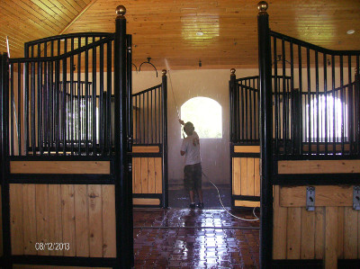Sparkling stables with Bea'vs