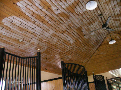 Barn being cleaned by Beav's