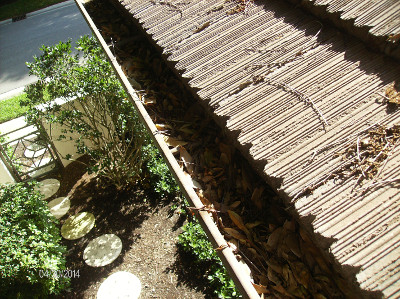 Dirty gutter needs cleaning