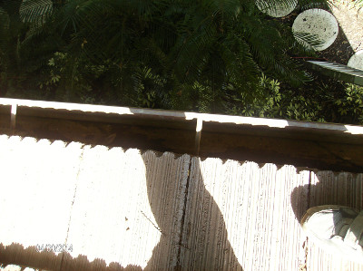 Gutter cleaning by Beav's Window Cleaning