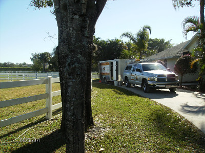 Beav's Window cleaning - professional window cleaning can clean your paddock fences, too.