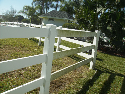 Mildew can grow on paddock fences, especially in South Florida.