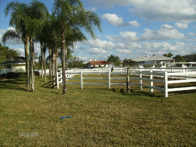 Beautify and protect your fencing with Beav's